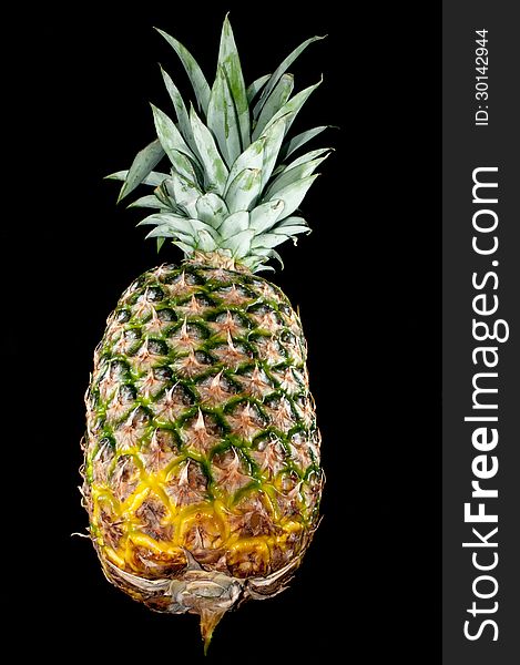 Pineapple fruit isolated on black background. Pineapple fruit isolated on black background