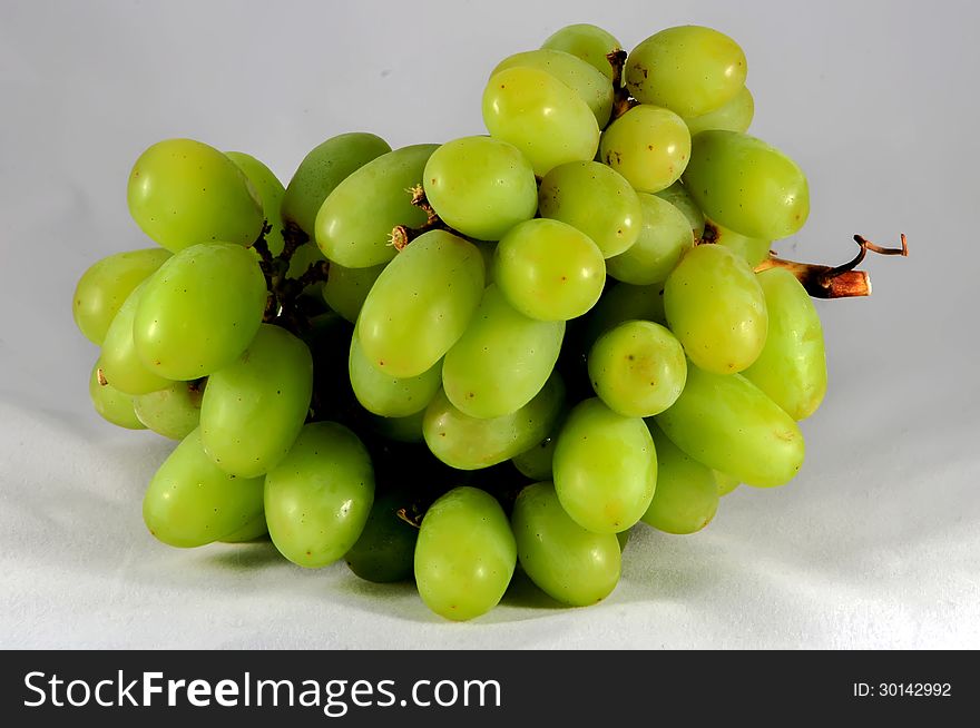 Branch of green grapes on white