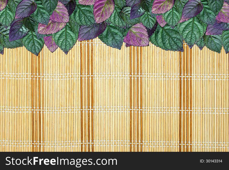 Begonia leaves Border or Frame on a Bamboo Mat Background