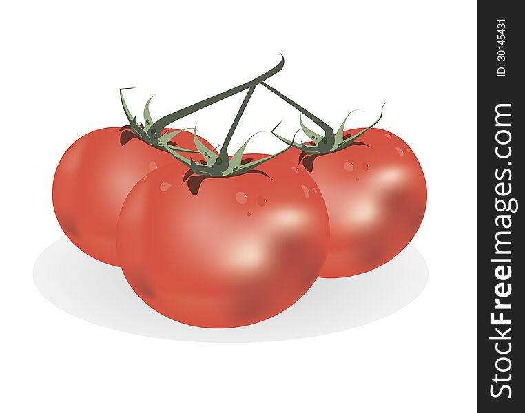 Juicy red tomato with dew on a white background