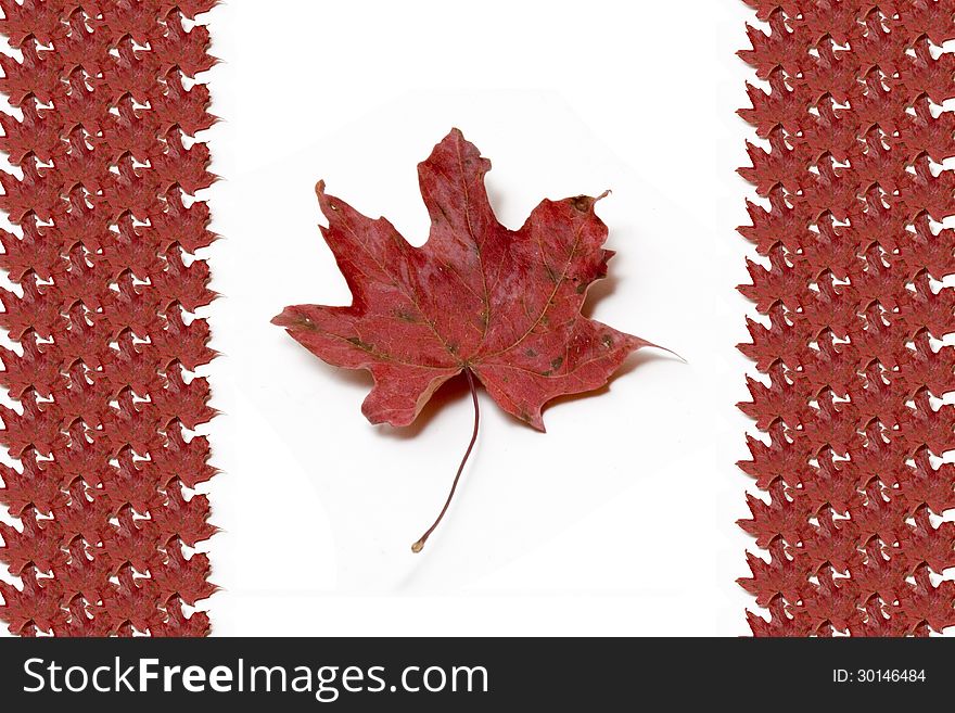Canadian flag created from maple leafs - composite image.