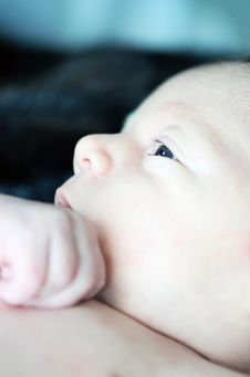 Newborn Baby Face Royalty Free Stock Images Newborn Baby Face Royalty Free Stock Images