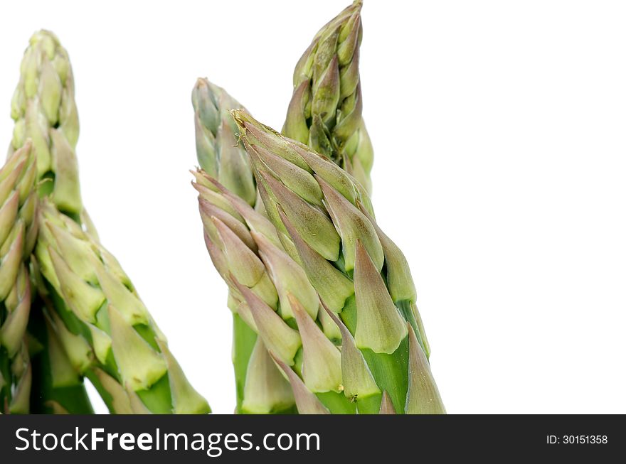 Raw Green Asparagus Sprouts isolated on white background