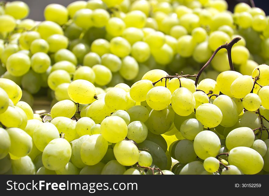 Grapes isolated on a market stand