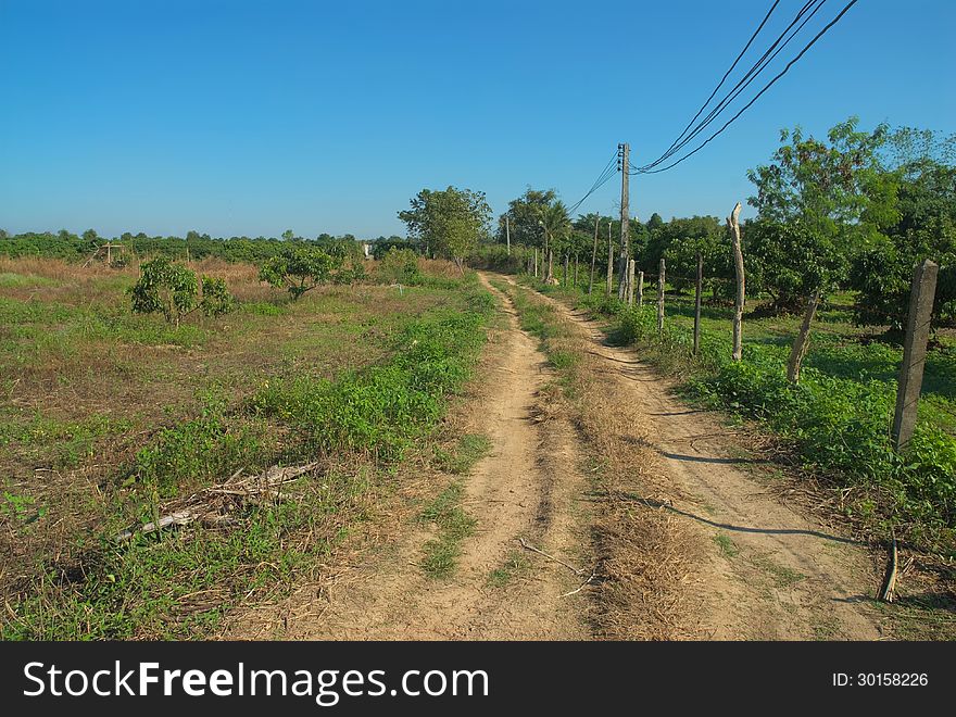 Country road in an agricultural landscape,thailand