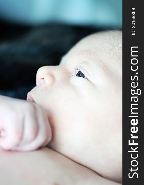 A close up profile of the face of an awake newborn baby. A close up profile of the face of an awake newborn baby.