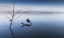 Riverbank Royalty Free Stock Photos Riverbank Royalty Free Stock Photos