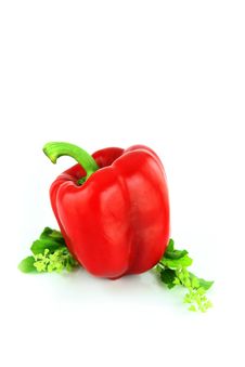 Red Bell Peppers On White Background. Royalty Free Stock Image