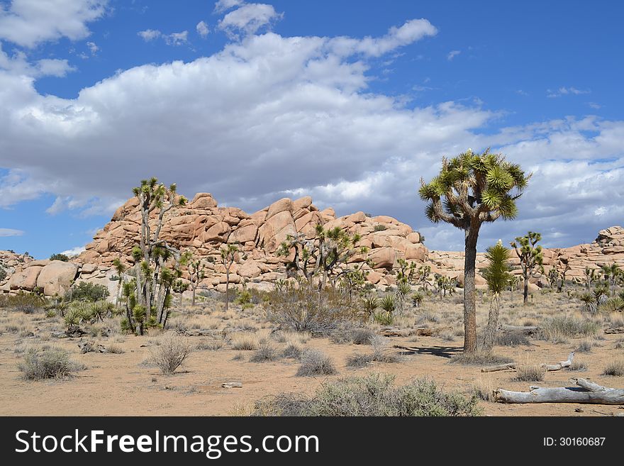 The sky and rock formations of Joshua tree NP. The sky and rock formations of Joshua tree NP