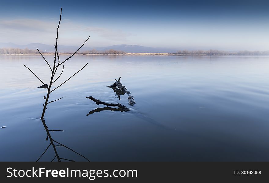 Mirror of trees wintertime riverbank