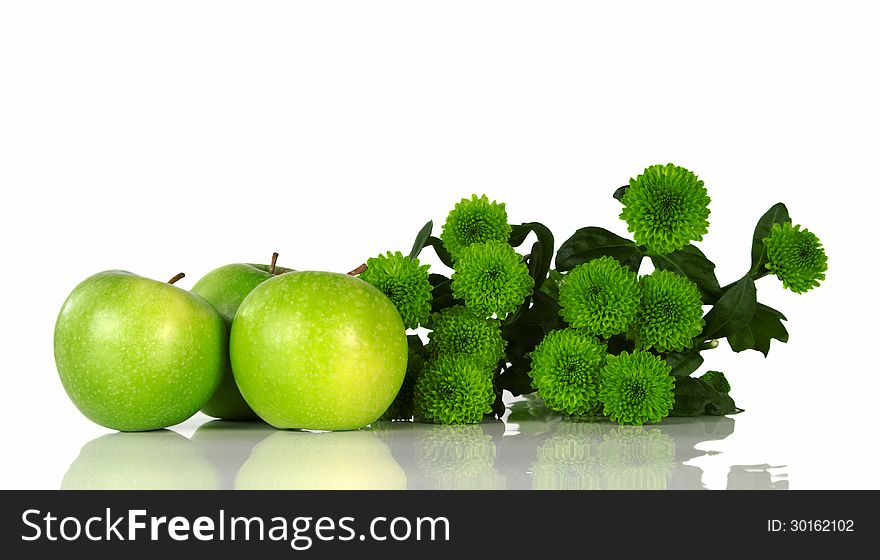 Still life with green apples and green asters on white background. Still life with green apples and green asters on white background
