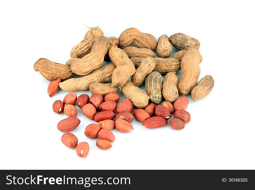 Focus Peanuts on white background.