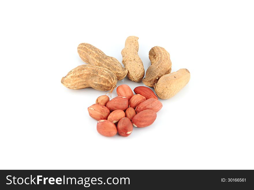 Peanuts On White Background.