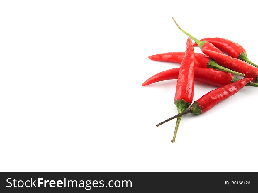 Red Hot Chili Peppers on the white background. Red Hot Chili Peppers on the white background.