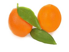 Fresh Ripe Orange Fruits With Leaves On White Background Stock Photography Fresh Ripe Orange Fruits With Leaves On White Background Stock Photography