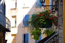 Street With Flowers Stock Photo Street With Flowers Stock Photo