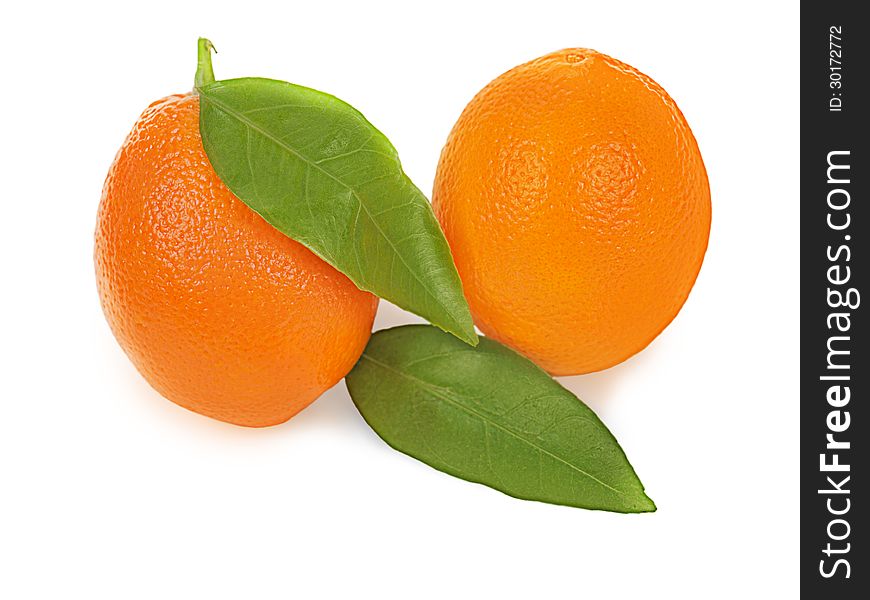 Fresh ripe orange fruits with leaves on white background