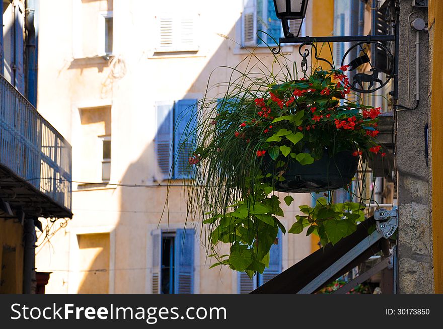 Street With Flowers