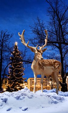 Christmas Deer In Small Town Stock Photography Christmas Deer In Small Town Stock Photography