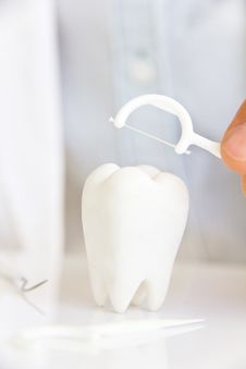 Dentist Holding Dental Floss With Molar Royalty Free Stock Photos