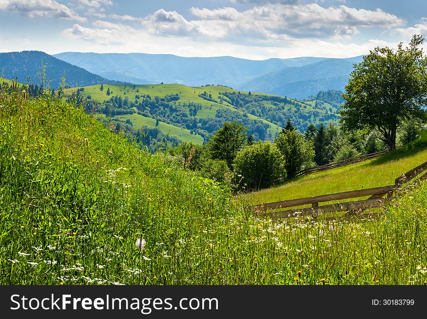 Wooden stick fence in vilage in mountains with blue sky, green grass and path in good weather time. Wooden stick fence in vilage in mountains with blue sky, green grass and path in good weather time