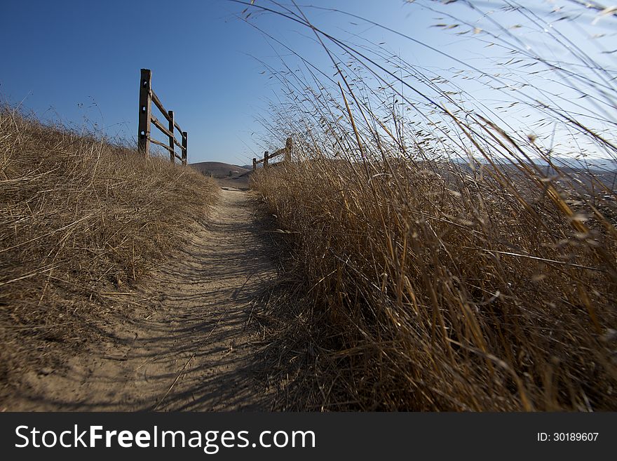 A dirt trail through a meadow with dried grass, wooden fence, blue sky. Shot from a low angle. A dirt trail through a meadow with dried grass, wooden fence, blue sky. Shot from a low angle.