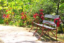 Bench In Park Royalty Free Stock Images Bench In Park Royalty Free Stock Images