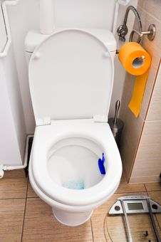 Toilet Royalty Free Stock Images Toilet Royalty Free Stock Images
