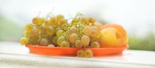 Vineyard Grape Stock Photos