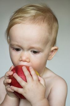 Toddler Eating Apple Stock Photo