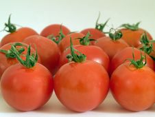Tomatoes Stock Photography Tomatoes Stock Photography