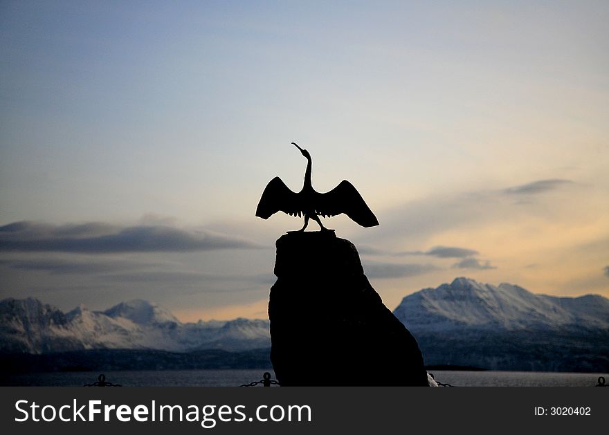 A statue of the Cormorant in Harstad, Norway. A statue of the Cormorant in Harstad, Norway