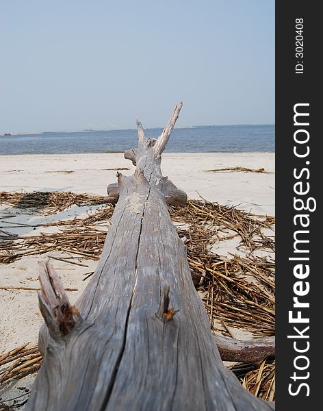 Wood log on the beach overlooking the ocean. Wood log on the beach overlooking the ocean