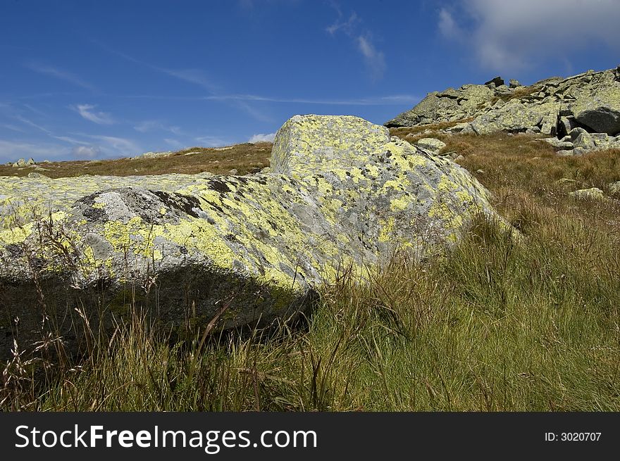 Photo of stones on mountains growth lichens (Europe, Slovak republic, Tatry)