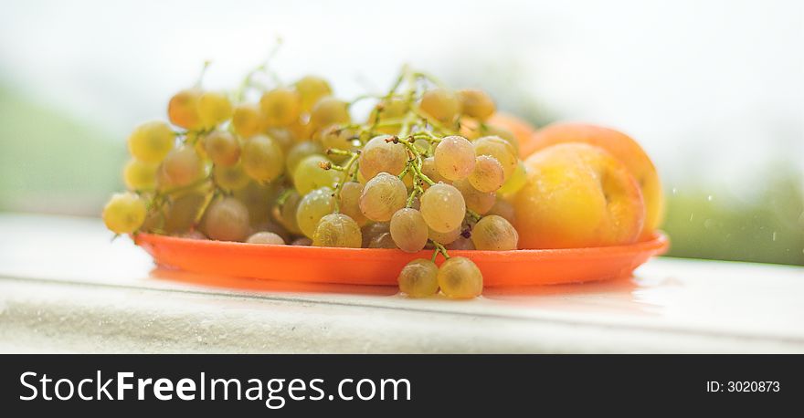 Vineyard Grape -  grapes on the plate in the rain
