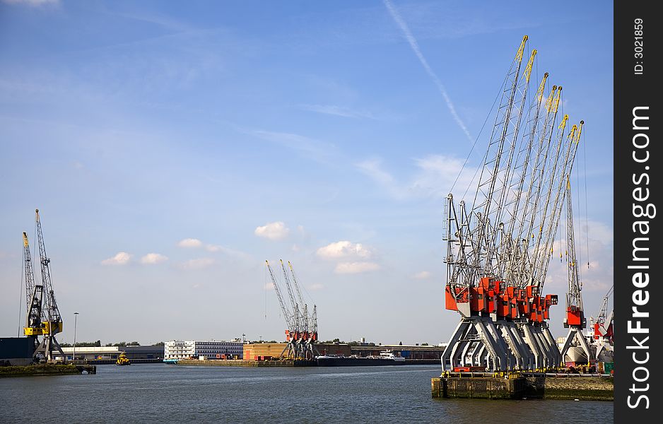 Cranes in the harbor of Rotterdam. Cranes in the harbor of Rotterdam