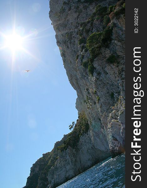 Capri Island in Italy Europe / Crystal-clear water and enchanting rock / Flying bird. Capri Island in Italy Europe / Crystal-clear water and enchanting rock / Flying bird