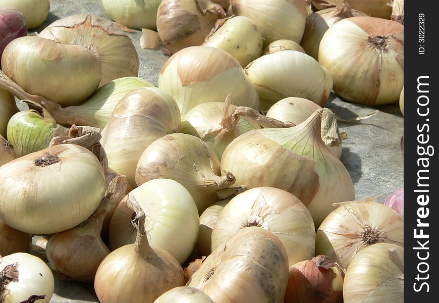 Beautiful onions on an oilcloth.