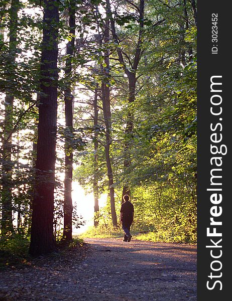 A shot of a woman leaving the forest. Bitca Park, Moscow. A shot of a woman leaving the forest. Bitca Park, Moscow.