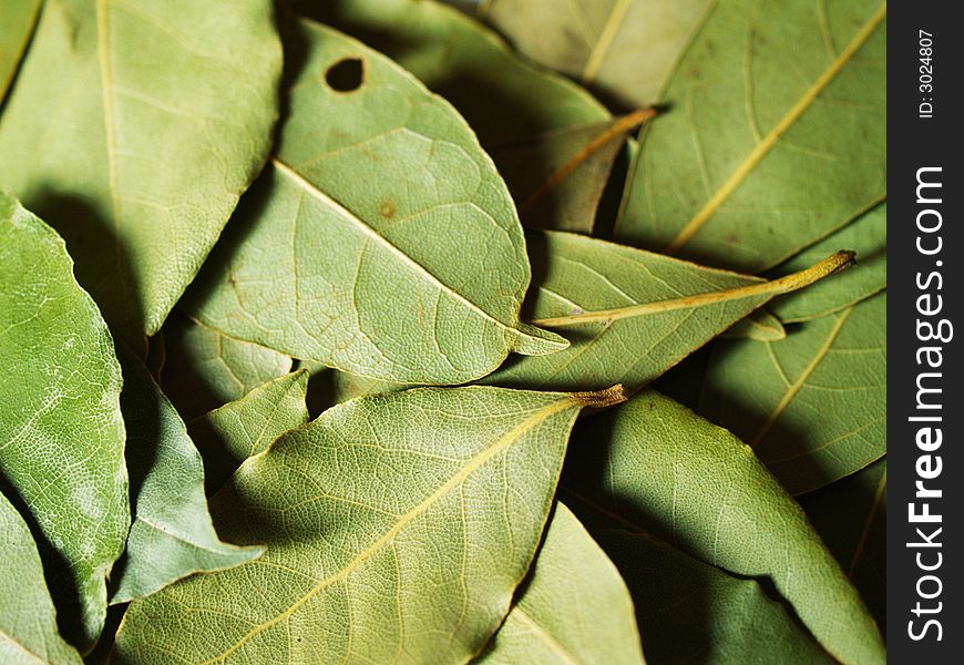 Macro bay leaves for kitchen