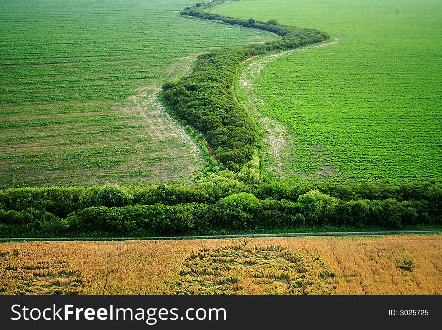 Bandy road in green and yellow fields