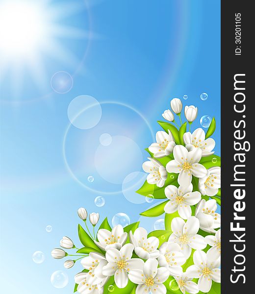 Vector illustration flowering cherry on the background of blue sky