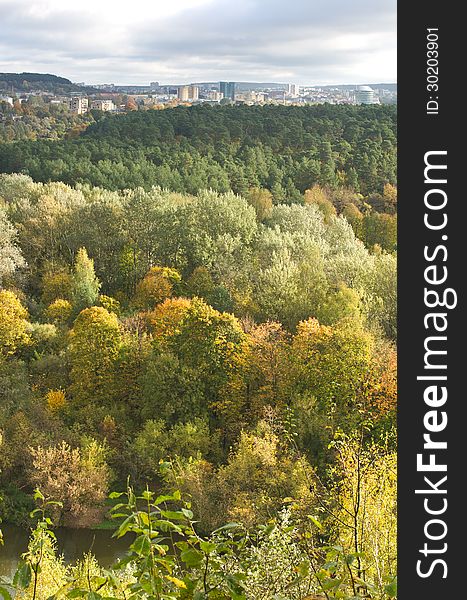 City line and fall forest, vertical image. City line and fall forest, vertical image