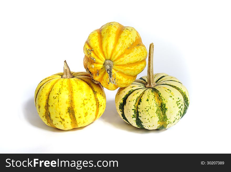 Decorative pumpkins on whie background