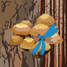 Landscape With Mushrooms On A Tree Stock Photography Landscape With Mushrooms On A Tree Stock Photography
