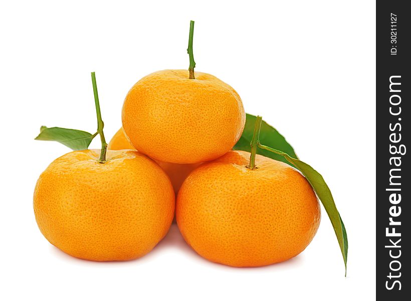 Fresh ripe tangerines with green leaves on white background.