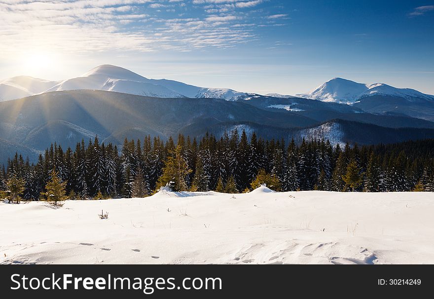 A frosty and sunny day is in mountains. A frosty and sunny day is in mountains