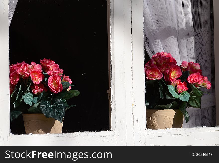 Background Old House With Windows And Flowers