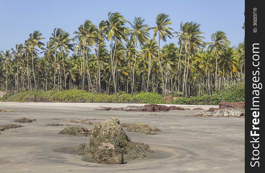 Ashvem beach Goa