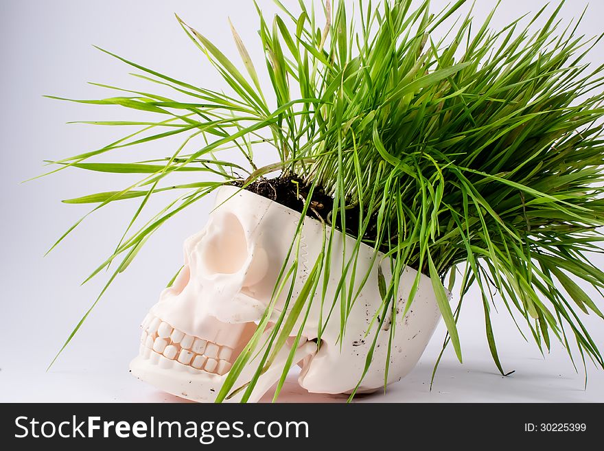 A skull with green grass. A skull with green grass